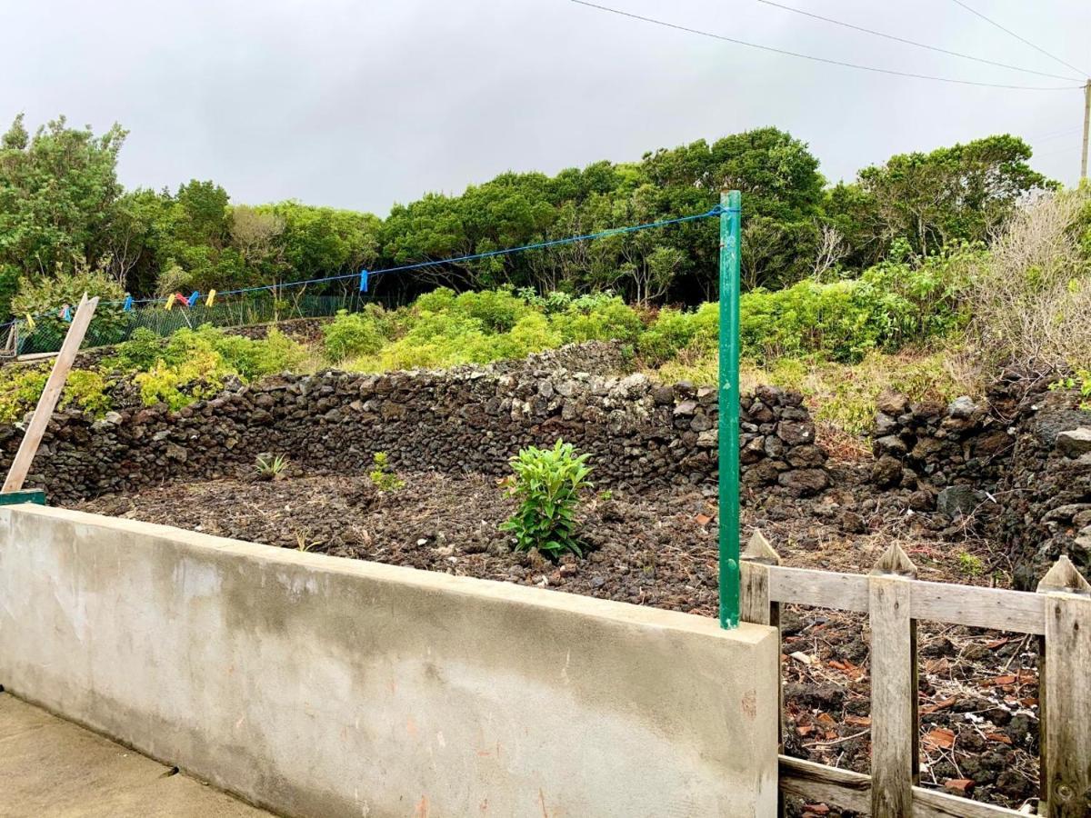Casa Avo Sao Miguel Villa Angra do Heroísmo Kültér fotó